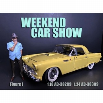 Weekend car show I  1/24