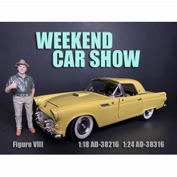 Weekend car show VIII  1/24