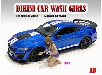 Bikini car wash Alisa  1/24