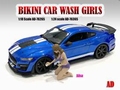 Bikini Car wash girl Alisa 1/18